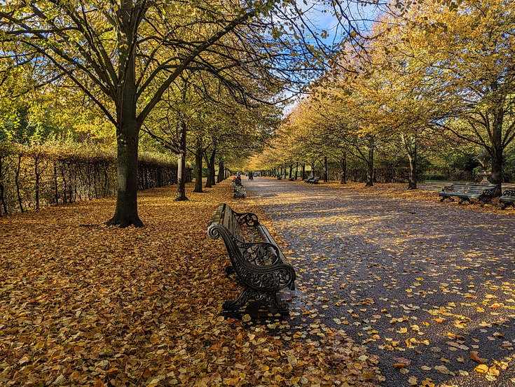The glorious sight of autumn in Regent's Park, London in 20 photos