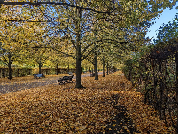 The glorious sight of autumn in Regent's Park, London in 20 photos