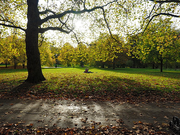 Autumn in London: the reds, yellows and browns of Green Park and St James's Park, October 2015