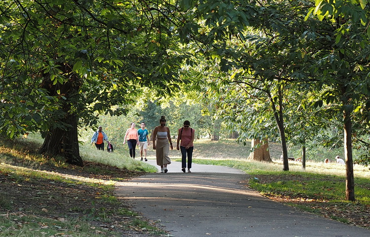 Open spaces and stunning London vistas: a walk from Blackheath to Greenwich