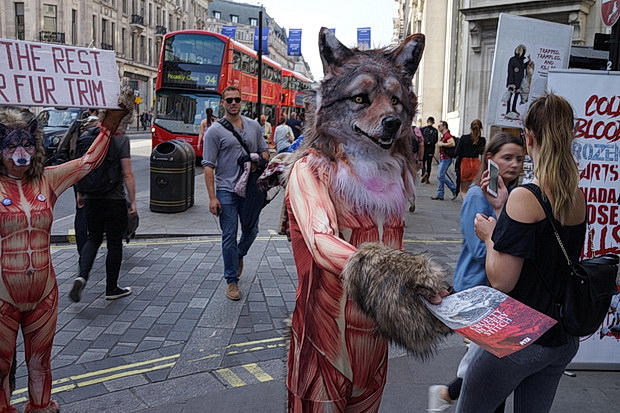Boycott Canada Goose clothing - powerful protest in London's West End, June 2018