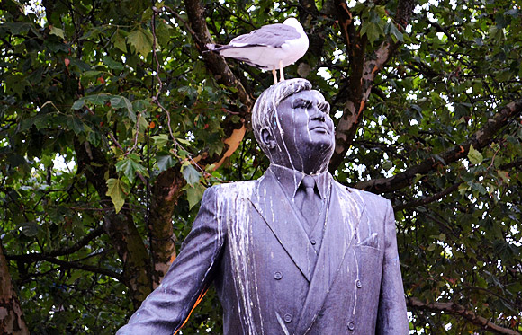 Cardiff overrun with seagulls, not even Aneurin Bevan safe