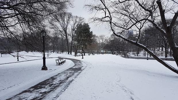 In photos: Central Park in the snow on St David's Day, New York, March 2019