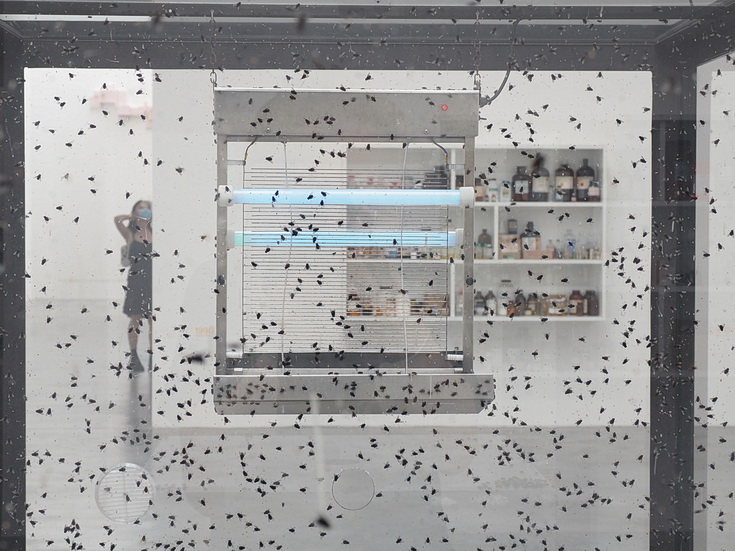 Damien Hirst - End Of A Century - fascinating exhibition at the Newport Street Gallery, London