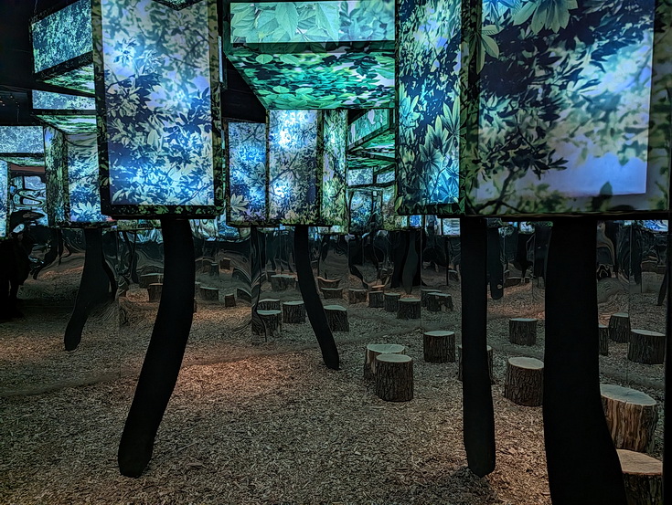 Dopamine Land - a hit and miss interactive multisensory experience: in photos