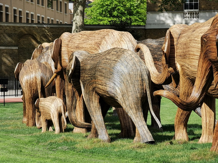 In photos: the elephant herds of Chelsea