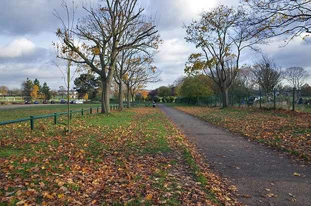 A winter's Saturday afternoon on Enfield Playing Fields, November 2013
