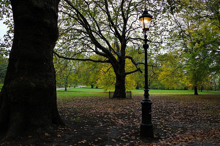 Autumn takes over in London's Green Park- 18 photos shot with Ricoh GRiii camera