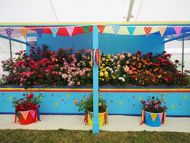 More photos from the RHS Hampton Court Palace Flower Show 2014, Hampton Court, London, July 2014