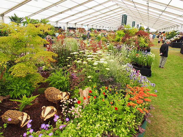 Photos of RHS Hampton Court Palace Flower Show, Hampton Court, London, Monday 8th July 2013