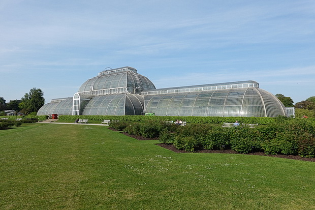 Fifty photos of the wonderful Kew Gardens including the Palm House, treetop walkway and amazing plants 