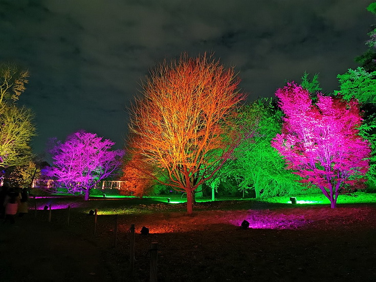 In photos: the magnificent light trails at Kew Gardens, Winter 2021