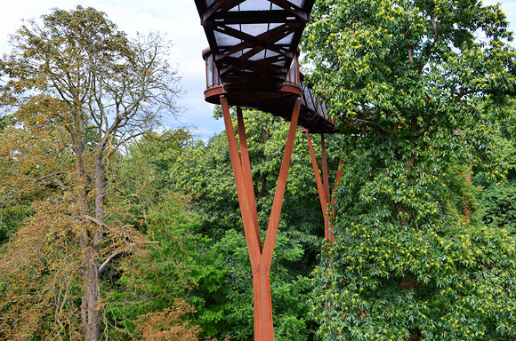 Kew Gardens Treetop walkway - wobbly, but fun