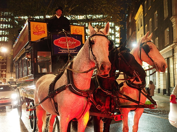London street scenes - tourist tack, horse-drawn bus, photo exhibitions and the first Christmas tree, November 2015