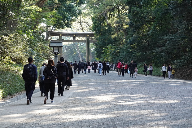 In photos: The faces and sights of the Meiji Shrine, Tokyo, Japan