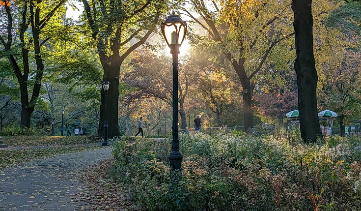 Photo feature: New York Central Park in the late autumn sunshine