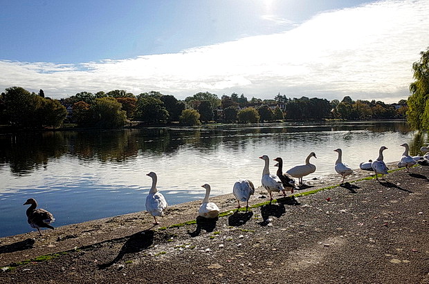 A sunny Autumnal afternoon at Roath Park, Cardiff