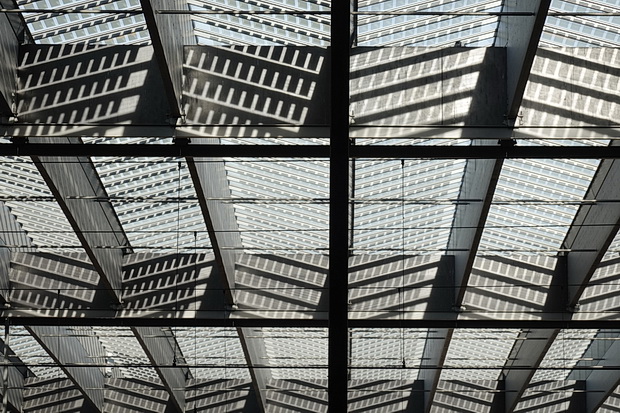 In photos: A look around The Hague and the striking lines of Rotterdam Centraal