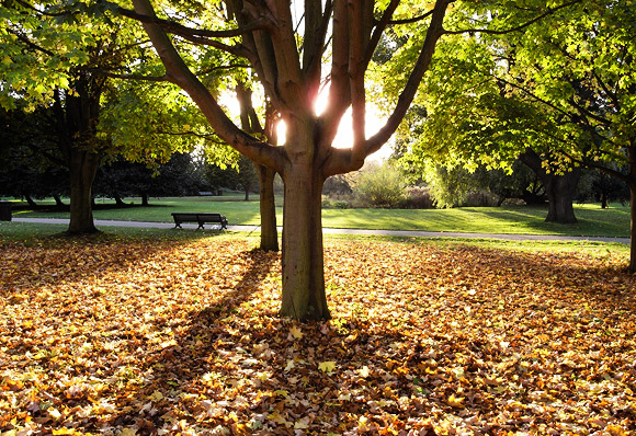 Exactly when does Autumn start in the UK?