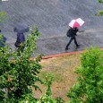 Rain at last in Brixton (and hailstones!) With the UK heading for the hottest, driest Spring since records began, we’ve been praying for a bit of rain down Brixton way for the sake of our ailing plants.