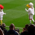 Crystal Palace 0 Cardiff City 2 We went down to Selhurst Park yesterday to see the mighty Cardiff City take on Crystal Palace. The game wasn’t short on thrills or incident and turned out to be...