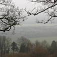 Despite the raging hangover, I managed to drag my ale-soaked arse half way up Caerphilly Mountain and across Graig Llanishen for a bracing walk in the freezing mist. I’m really...