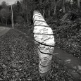 Christmas Day walk, Graig Llanishen, Cardiff By gum it was freezing cold, but I still managed my traditional Christmas Day walk up Graig Llanishen, to the north of Cardiff. Here’s some photos: