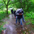 Walking the London Loop – Hatton Cross to Kingston This was one for the ‘ardcore walkers, with the rain belting down at the start, deeply flooded footpaths to traverse and a fairly ambitious 12 miles to cover in fading...