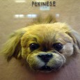 A trip to the fabulous Horniman Museum I love this place – parts of it feel like you’ve stepped into an untouched Edwardian gallery of curiosities, while other parts are as high tech as anything you’ll find...