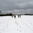 A winter’s walk through Kenley Common We had a fabulous day today, trudging through gloriously deep snow on the outer edges of south London, not far from Coulsdon. Here’s a few pics: lots more to follow!