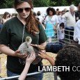 Lambeth Country Show cancelled for 2012. We fancy a picnic on July 22nd We’re hearing terrible news that the annual Lambeth Country Show – a highlight of my year – has been cancelled this year. The story broke on the urban75 bulletin boards, and...