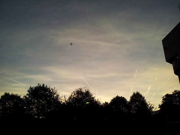 Pic of the day: autumnal Brixton dawn with trees and jet trails