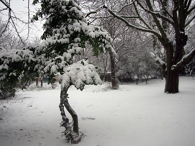 Brixton snow and snowmen, Windrush Square, Loughborough Park and Coldharbour Lane-20