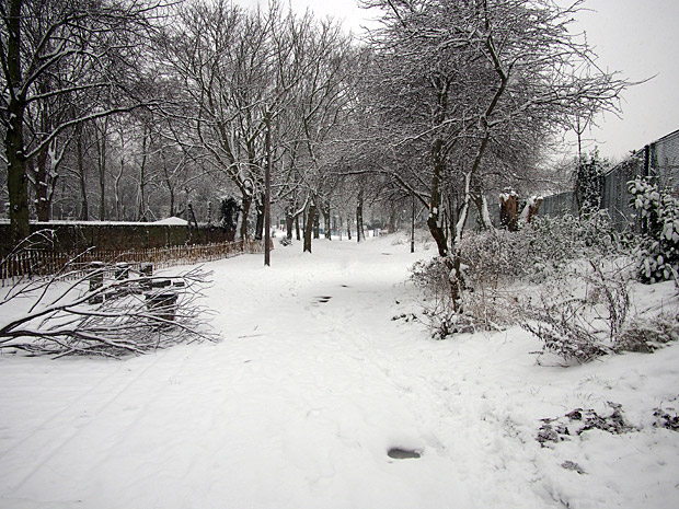 Brixton snow and snowmen, Windrush Square, Loughborough Park and Coldharbour Lane-23