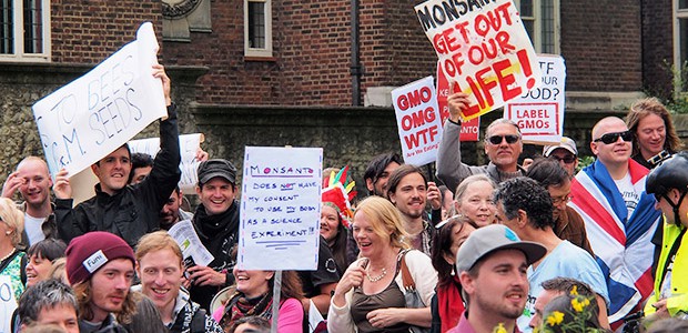 There was a lively turnout in central London today as part of a global ‘March Against Monsanto’ protest. The main protest was outside Parliament, where there was a fine turnout...