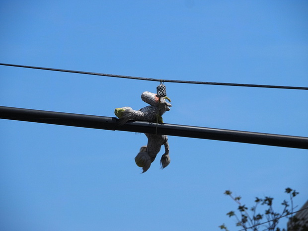 Sneakers dangling on the power lines of New York