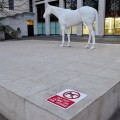 Do NOT climb on the White Horse on the Mall, London