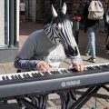 Brighton photos: zebra on keyboards, night scenes and the Monochrome Set at the Hope and Ruin