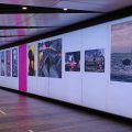 Check out the Face To Face exhibition, King's Cross Tunnel, London, Oct- 19th Nov 2020