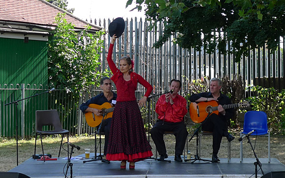 Brixton Windmill Festival, Blenheim Gardens, Brixton, Lambeth, London SW2, England, July 2010