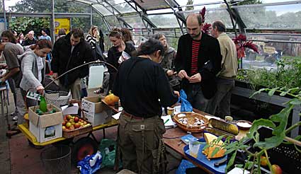 Community Greenhouses in Brockwell Park