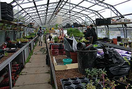 Community Greenhouses in Brockwell Park