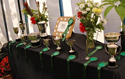Trophy table, Lambeth Country Show, Brockwell Park, Herne Hill, London 15th-16th July 2006