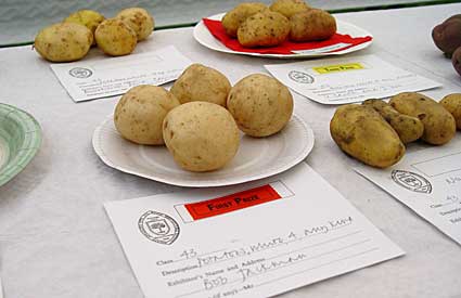 Pile of potatoes, Lambeth Country Fair, Brockwell Park, Herne Hill, London 17th-18th July 2004