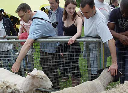 Stroking the sheep, Lambeth Country Fair, Brockwell Park, Herne Hill, London 17th-18th July 2004