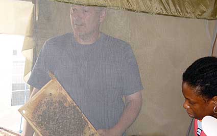'Live Bees', Lambeth Country Fair, Brockwell Park, Herne Hill, London 17th-18th July 2004