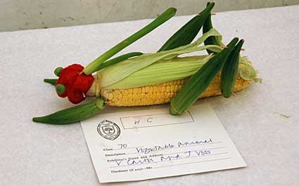 Vegetable cricket, 'Highly Commended', Lambeth Country Fair, Brockwell Park, Herne Hill, London 16th-17th July 2005