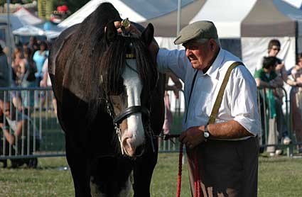 Shire Horse Lambeth Country Fair, Brockwell Park, Herne Hill, London 16th-17th July 2005