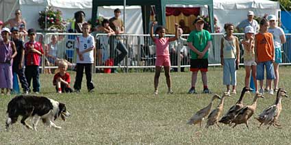 Duck action, Lambeth Country Fair, Brockwell Park, Herne Hill, London 16th-17th July 2005