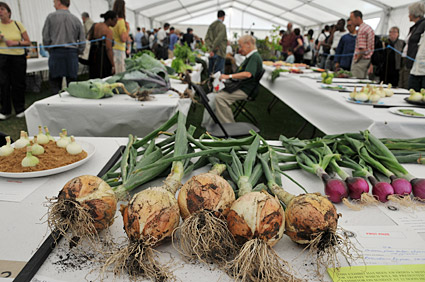 Vegetables, flowers, owls, eagles and cider at the Lambeth Country Show, Brockwell Park, Herne Hill, London 18th-19th July 2009